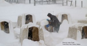 While it's tempting to do the bare minimum when temps are -17 with a -53 wind chill and there's 14 inches of snow on the ground, LuAnn was out feeding her calves at Troxel Dairy farm MORE frequently to keep up their energy reserves. Snow drifts also help insulate and inside the hutches they are cozy warm with fresh bedding.